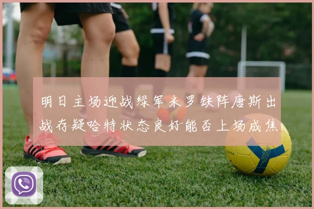 明日主场迎战绿军米罗缺阵唐斯出战存疑哈特状态良好能否上场成焦点