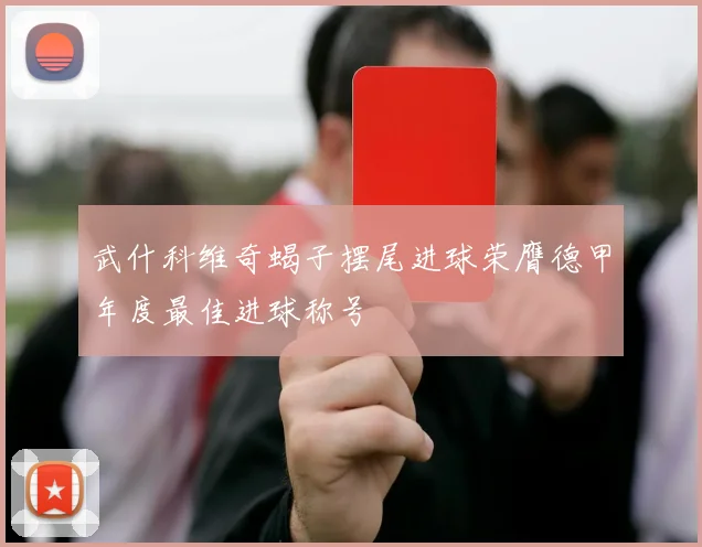 武什科维奇蝎子摆尾进球荣膺德甲年度最佳进球称号